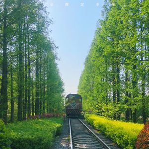 国产永不无码精品AV永久
